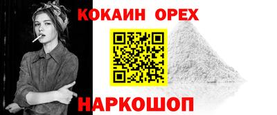 стафф Гай