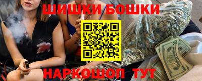 стафф Гай