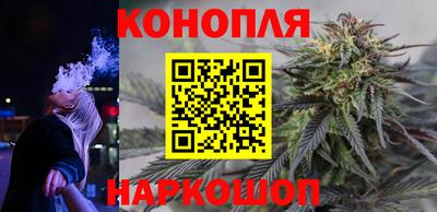 ешки Гатчина
