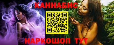 стафф Гай