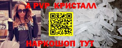 стафф Гай