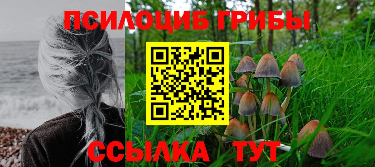 Галлюциногенные грибы MAGIC MUSHROOMS Павлово